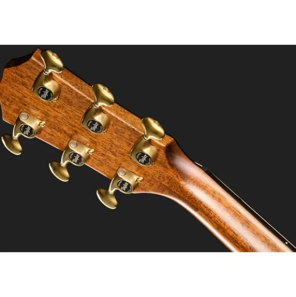 Taylor Builder's Edition 814ce LTD Ma