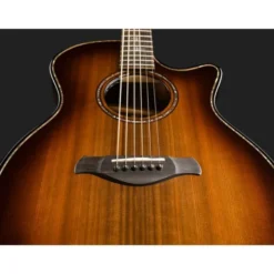 Taylor Builder's Edition 914ce LTD Ma