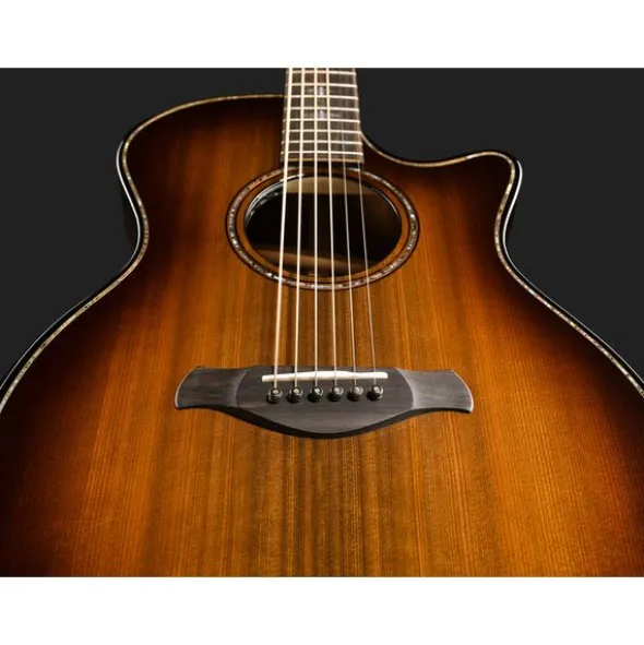 Taylor Builder's Edition 914ce LTD Ma