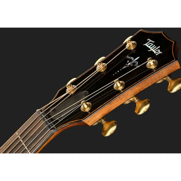 Taylor Builder's Edition 914ce LTD Ma