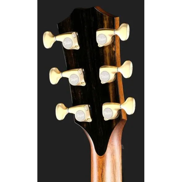 Taylor Builder's Edition 914ce LTD Ma