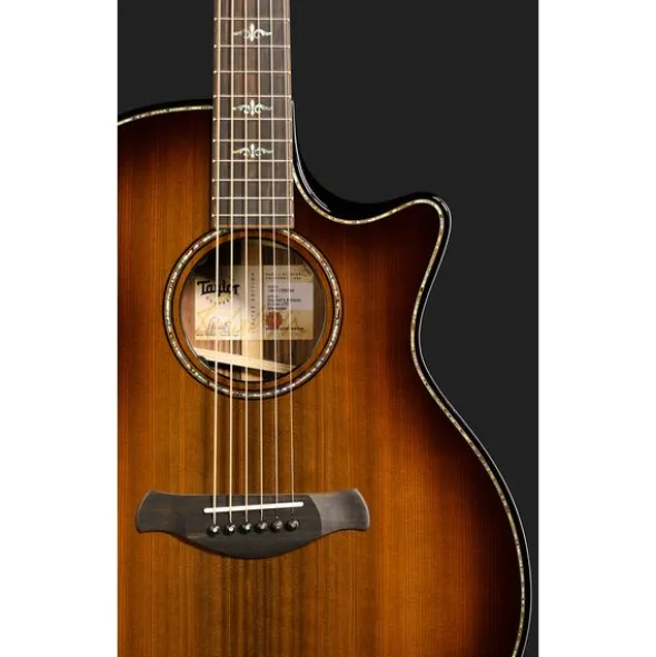 Taylor Builder's Edition 914ce LTD Ma