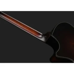 Taylor Builders Edition 524ce NG