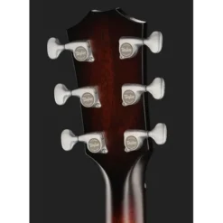 Taylor Builders Edition 524ce NG