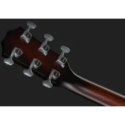 Taylor Builders Edition 524ce NG