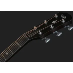 Taylor Builders Edition 524ce NG