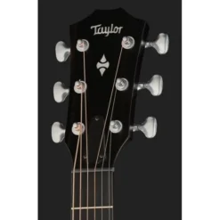 Taylor Builders Edition 524ce NG