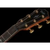 Taylor Builders Edition 814ce NG