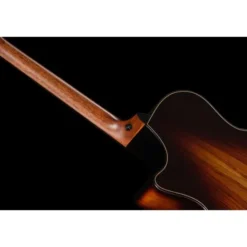 Taylor Builders Edition 814ce NG