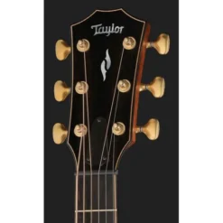 Taylor Builders Edition 814ce NG