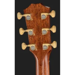 Taylor Builders Edition 814ce NG