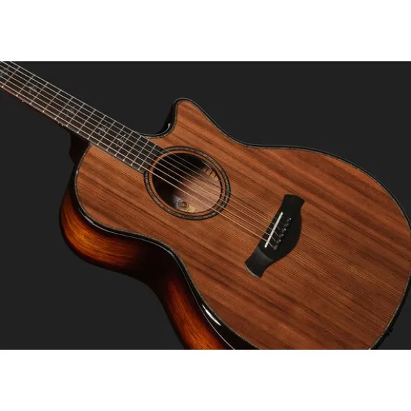 Taylor Builders Edition 914ce RW/RD N
