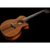 Taylor Builde`s Edition 914ce