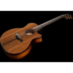 Taylor Builde`s Edition 914ce