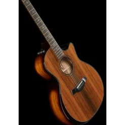 Taylor Builde`s Edition 914ce