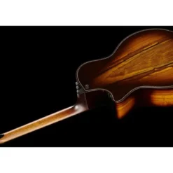 Taylor Builde`s Edition 914ce