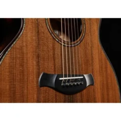Taylor Builde`s Edition 914ce