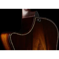Taylor Builde`s Edition 914ce