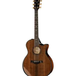 Taylor Builde`s Edition 914ce