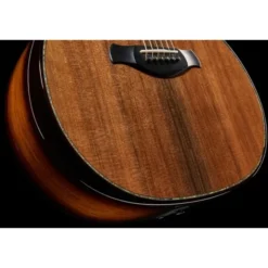 Taylor Builde`s Edition 914ce