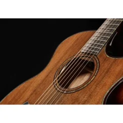 Taylor Builde`s Edition 914ce