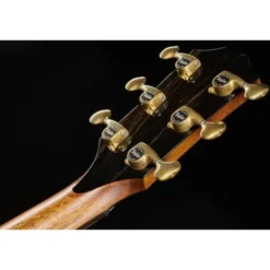 Taylor Builde`s Edition 914ce