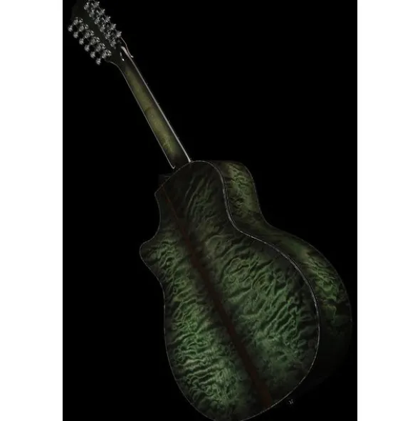 Taylor C54ce B6024 Custom