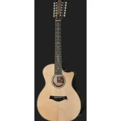 Taylor C54ce B6024 Custom
