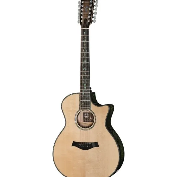 Taylor C54ce B6024 Custom