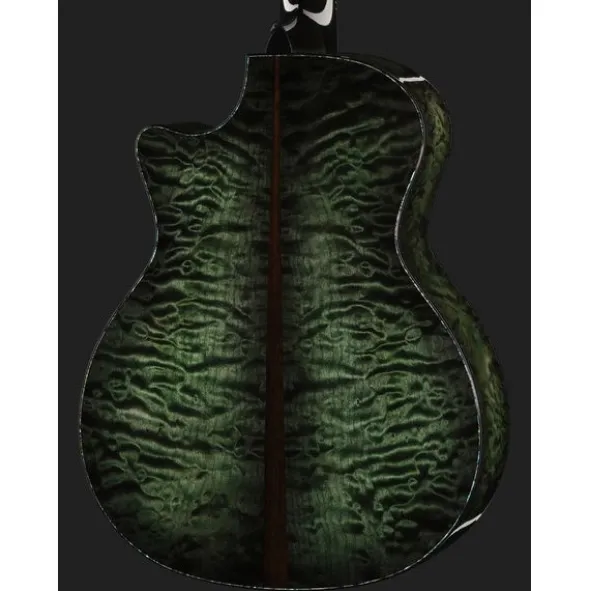 Taylor C54ce B6024 Custom