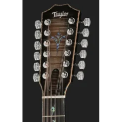 Taylor C54ce B6024 Custom