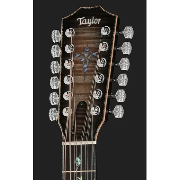 Taylor C54ce B6024 Custom