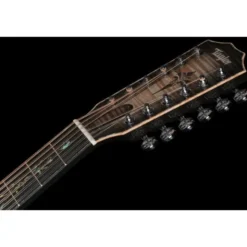 Taylor C54ce B6024 Custom