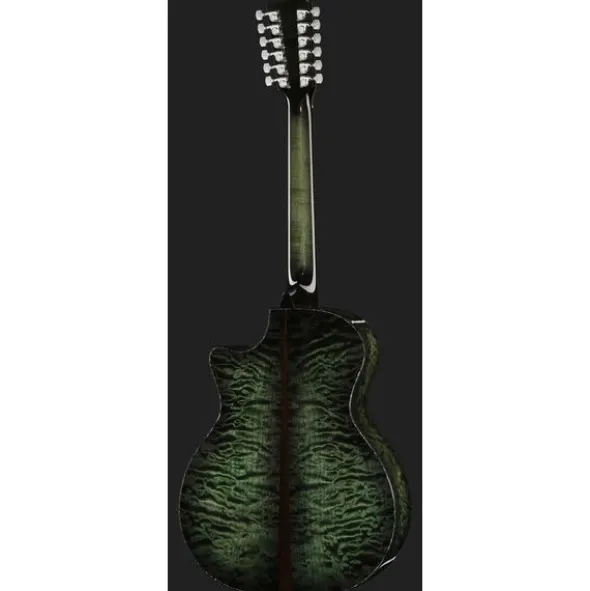 Taylor C54ce B6024 Custom