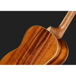 Taylor C24ce C0786 Custom