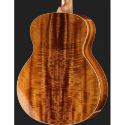 Taylor C24ce C0786 Custom