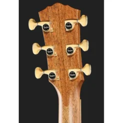 Taylor C24ce C0786 Custom