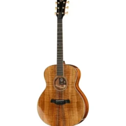 Taylor C24ce C0786 Custom