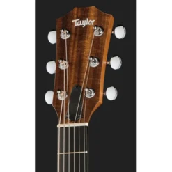 Taylor 24ce