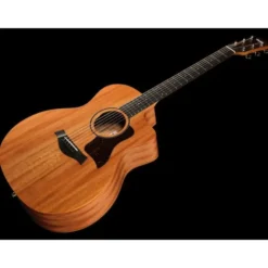 Taylor 24ce