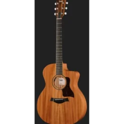 Taylor 24ce