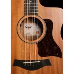 Taylor 24ce
