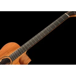 Taylor 24ce