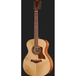 Taylor C14e B6011 Custom #11