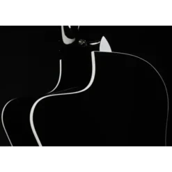 Taylor 214ce-BLK Plus