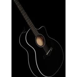 Taylor 214ce-BLK Plus