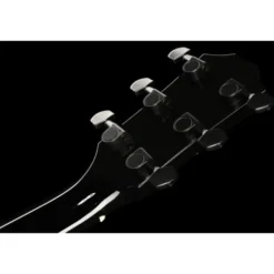 Taylor 214ce-BLK Plus