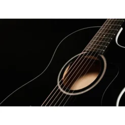 Taylor 214ce-BLK Plus