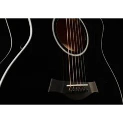 Taylor 214ce-BLK Plus