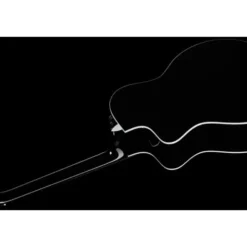 Taylor 214ce-BLK Plus